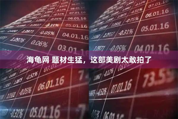 海龟网 题材生猛，这部美剧太敢拍了