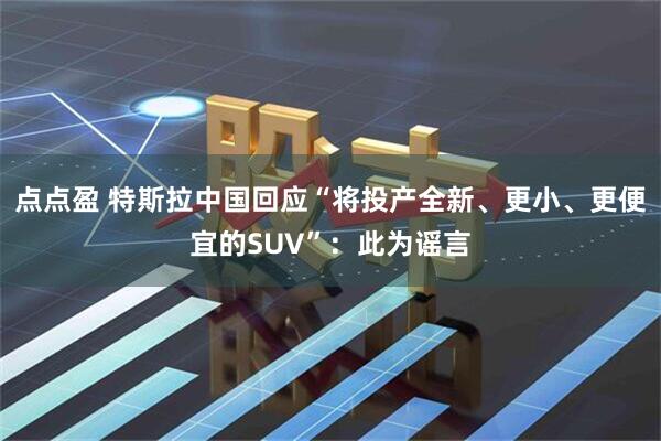 点点盈 特斯拉中国回应“将投产全新、更小、更便宜的SUV”：此为谣言