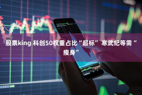 股票king 科创50权重占比“超标” 寒武纪等需“瘦身”